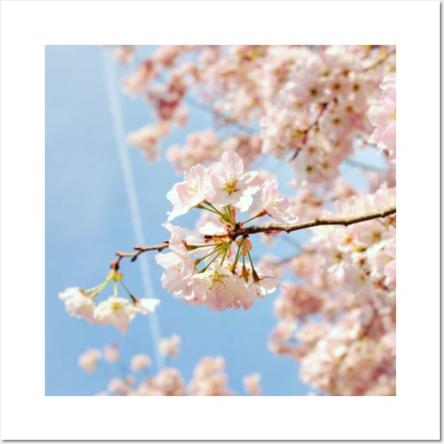 Cherry Blossom 8 Wall Art by igjustin